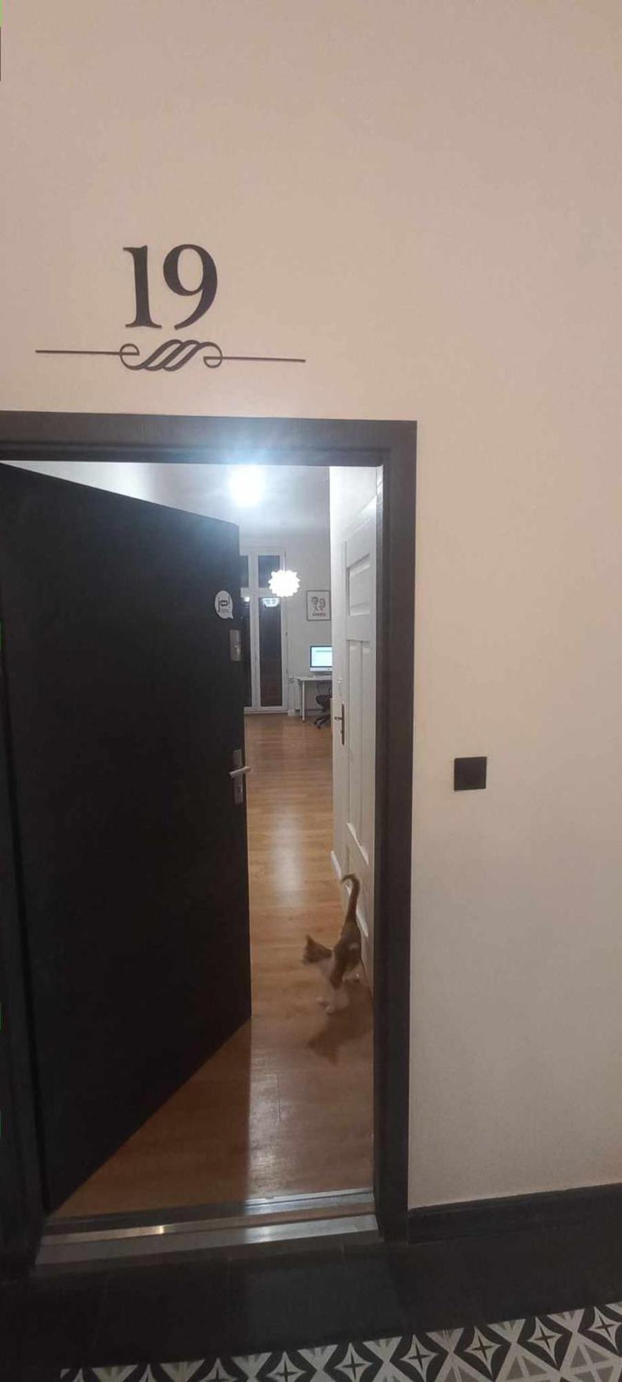 Grudziadzkie Atelier Dla Podroznikow Apartment Luaran gambar